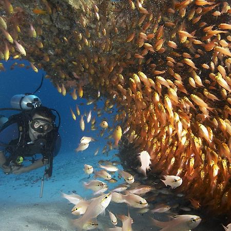 Zawadi Hotel, Zanzibar Michamvi Eksteriør billede